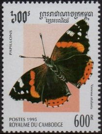 Red Admiral (Vanessa atalanta)