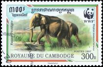 Malaysian Elephant (Elephas maximus hirsutus)