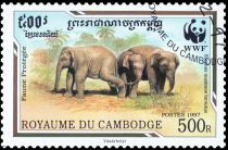 Malaysian Elephant (Elephas maximus hirsutus)