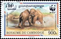 Malaysian Elephant (Elephas maximus hirsutus)