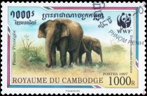 Malaysian Elephant (Elephas maximus hirsutus)