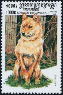 Ainu Inu (Canis lupus familiaris)