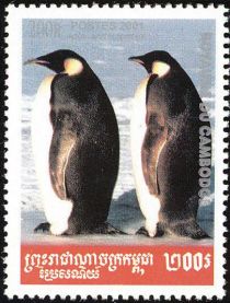 Emperor Penguin (Aptenodytes forsteri)