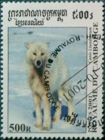 Alaskan Tundra Wolf (Canis lupus tundrarum)