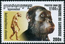 Australopithecus afarensis