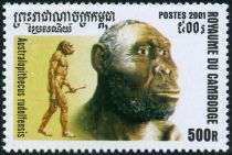 Australopithecus rudolfensis