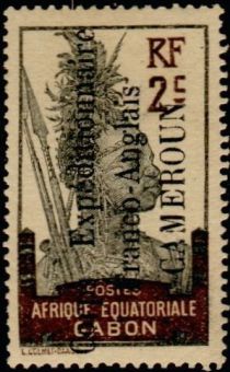 Warrior overprint