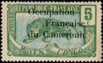 Leopard (Panthera pardus) overprint