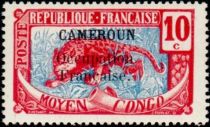 Leopard (Panthera pardus) overprint