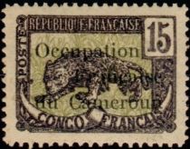 Leopard (Panthera pardus) overprint