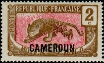 Leopard (Panthera pardus) overprint