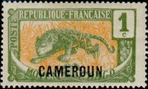 Leopard (Panthera pardus) overprint