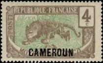 Leopard (Panthera pardus) overprint