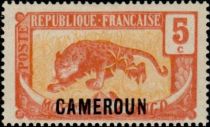 Leopard (Panthera pardus) overprint