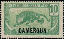 Leopard (Panthera pardus) overprint