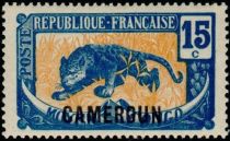 Leopard (Panthera pardus) overprint