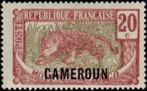 Leopard (Panthera pardus) overprint