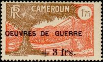 Liana Suspension Bridge & African Oil Palm overprint