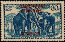 African Elephant (Loxodonta africana) overprint