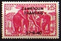 African Elephant (Loxodonta africana) overprint