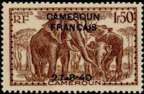 African Elephant (Loxodonta africana) overprint