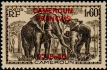 African Elephant (Loxodonta africana) overprint