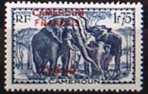 African Elephant (Loxodonta africana) overprint