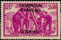 African Elephant (Loxodonta africana) overprint