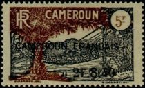 Liana Suspension Bridge & African Oil Palm overprint