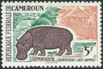 Hippopotamus (Hippopotamus amphibius)