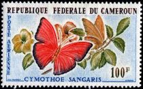 Blood Red Glider Butterfly (Cymothoe sangaris)