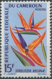 Bird of Paradise (Strelitzia reginae)