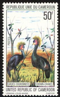 Black Crowned Crane (Balearica pavonina)