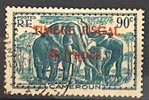 African Elephant (Loxodonta africana)