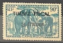 African Elephant (Loxodonta africana)