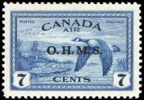 Canada Goose (Branta canadensis) - Overprint