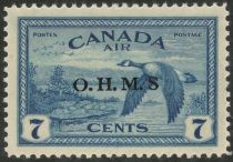 Canada Goose (Branta canadensis) - Overprint