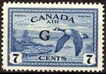 Canada Goose (Branta canadensis) - Overprint