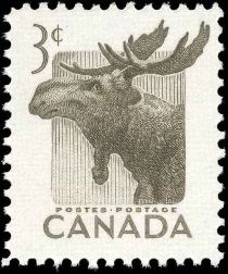 Moose (Alces alces)