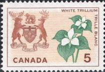 White Trillium (Trillium grandiflorum) and Arms of Ontario