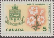 White Garden Lily (Lilium candidum) and Arms of Quebec