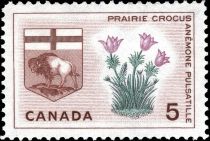 Prairie Crocus and Arms of Manitoba