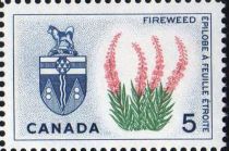 Fireweed and Arms of Yukon