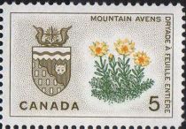 Mountain Avens and Arms of Northwest Territories