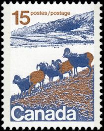 Bighorn Sheep (Ovis canadensis), Western Canada