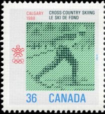 Cross-Country Skiing