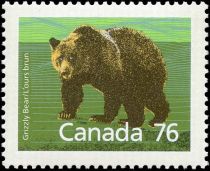 Grizzly Bear (Ursus arctos horribilis)