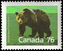 Grizzly Bear (Ursus arctos horribilis)