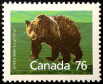 Grizzly Bear (Ursus arctos horribilis)