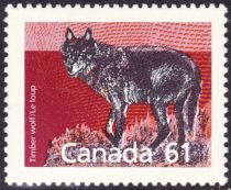 Timber Wolf (Canis lupus)